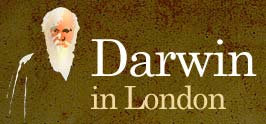 Darwin in London