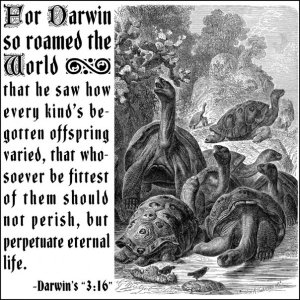 Darwin 3:16