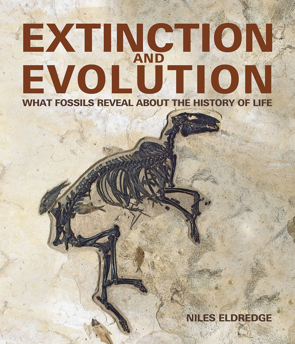 Book Extinction And Evolution What Fossils Reveal About